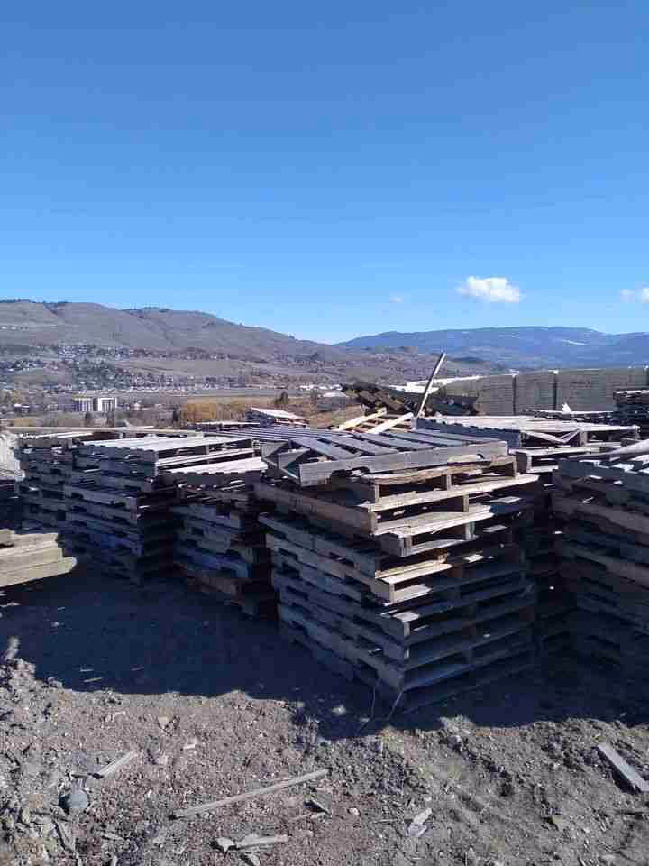 Free 48" x 40" Wooden Pallets Cores - Parker CO 80134